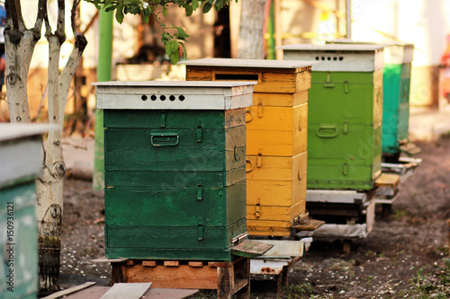 Row of colorful traditional beehives
