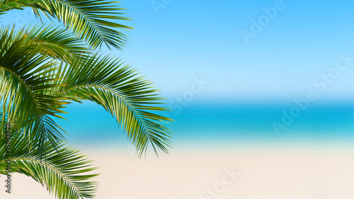 sun, sea, palm - summer background © winyu