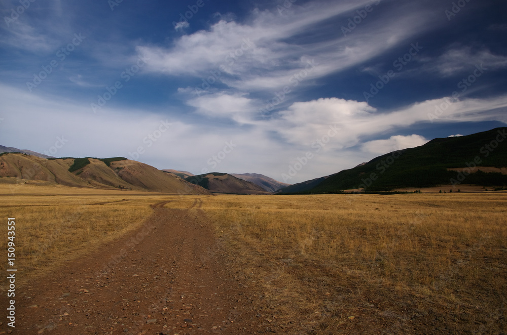 Road through a dry desert steppe on a highland mountain plateau with yellow grass with ranges of hills on a horizon skyline under blue sky and white clouds, Kurai, Altai, Siberia, Russia