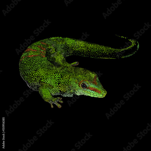 Green lizard gecko vector illustration. Figure spots, isolated on black  background.