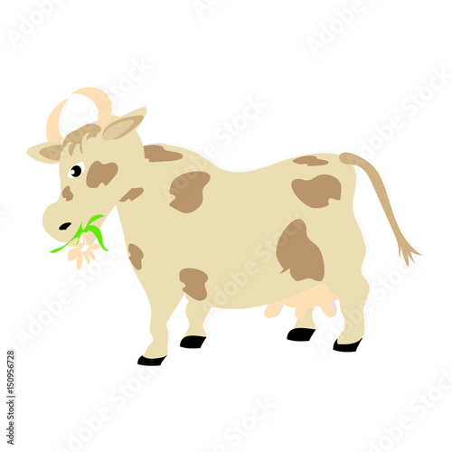Vector illustration of a cow chewing flower and grass on a white background