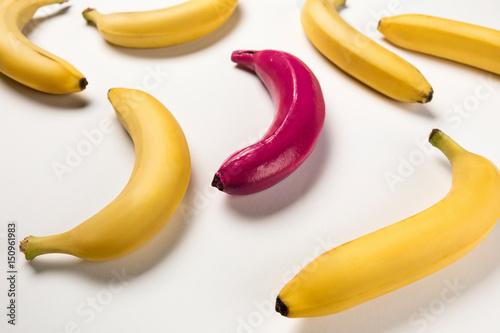 Close-up view of yellow ripe bananas and pink one isolated on pink