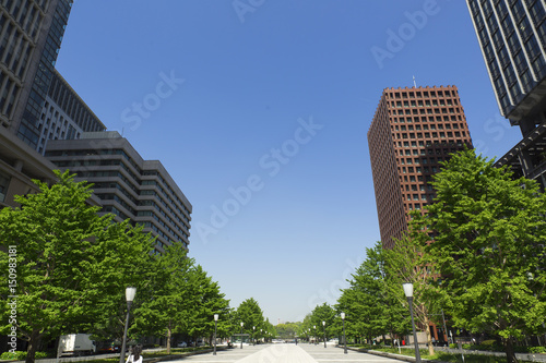 東京駅前広場から皇居方面を望む　丸の内高層ビル街　快晴青空新緑