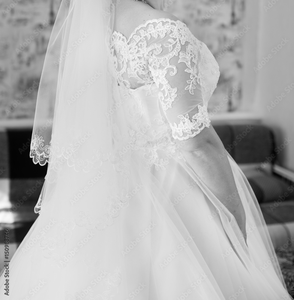 Bride and wedding dress Bride and wedding dress