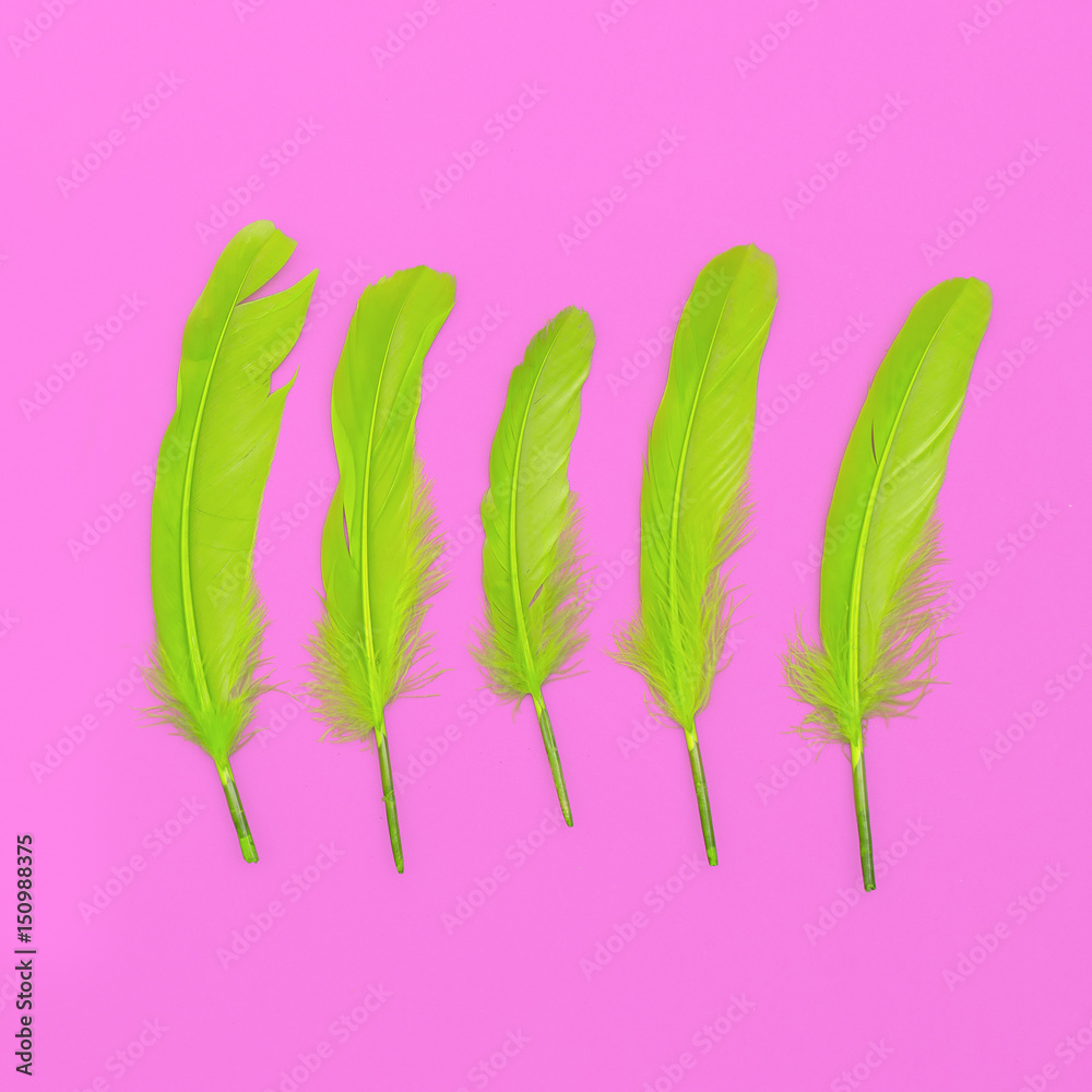 Green Feathers. Minimal art design Green Feathers. Minimal art design