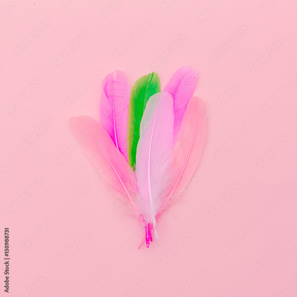Naklejka premium Pink feathers minimal art design fashion