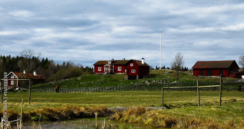 Fototapeta premium fields and houses