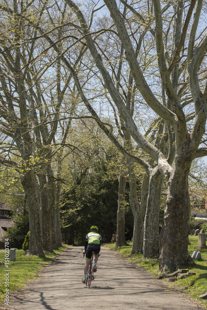 Biker between trees