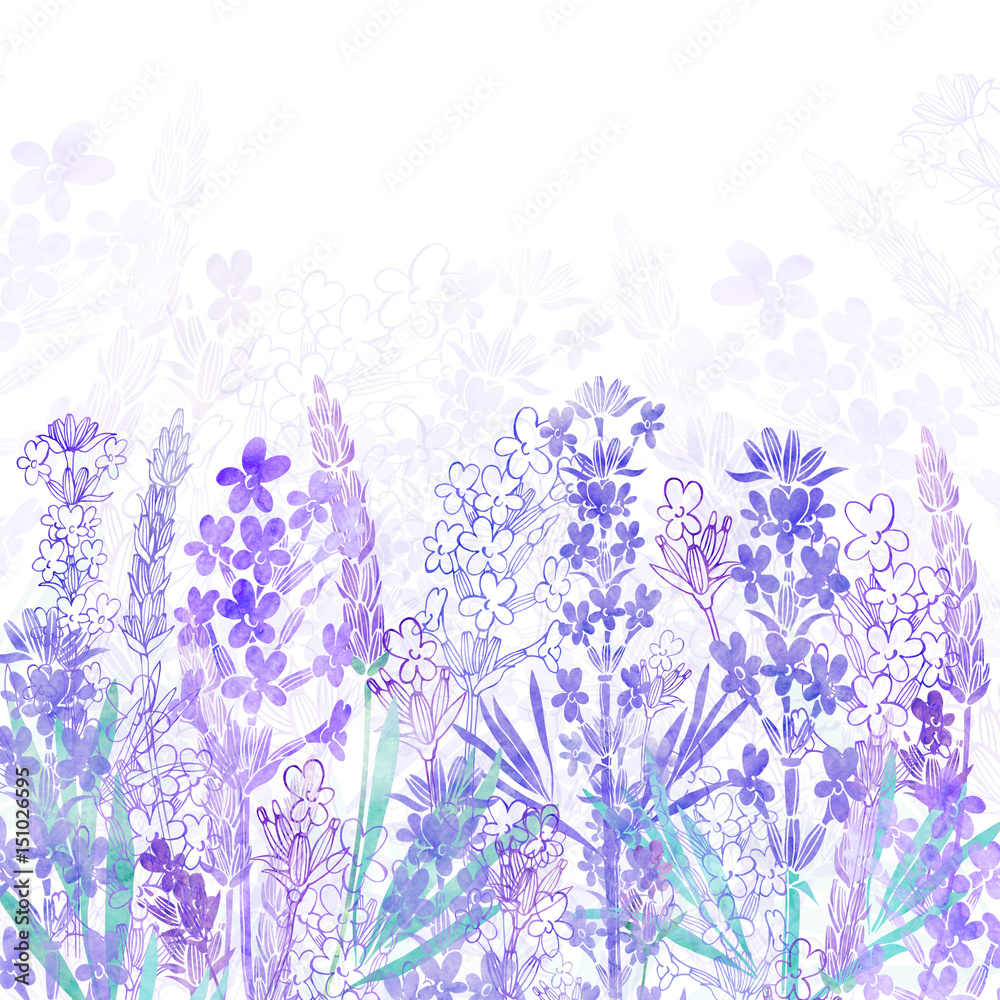 Naklejka Kwiecisty tło z lawendowymi kwiatami i miejsce dla teksta. Akwarela ilustracja na białym tle. Zaproszenie, kartkę z życzeniami lub element do projektu.