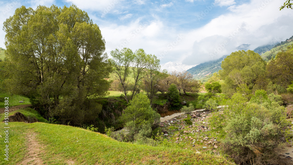 Mountain landscape with a river and green grass Mountain landscape with a river and green grass