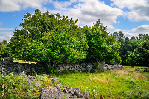 Natursteinmauer aus Findlingen Feldsteinen, Vassemåla, , Vimmerby, Kalmar län, Smaland, Schweden photo