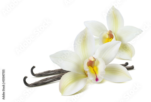 Double vanilla flower 2 isolated on white