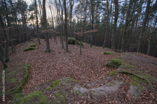 Castle Ruin Wartstein near Hilpoltstein, Bavaria, Germany photo