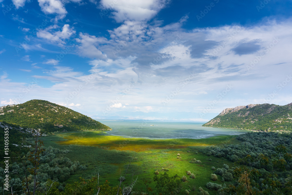 Fototapeta premium Montenegro. Lake Skadar.