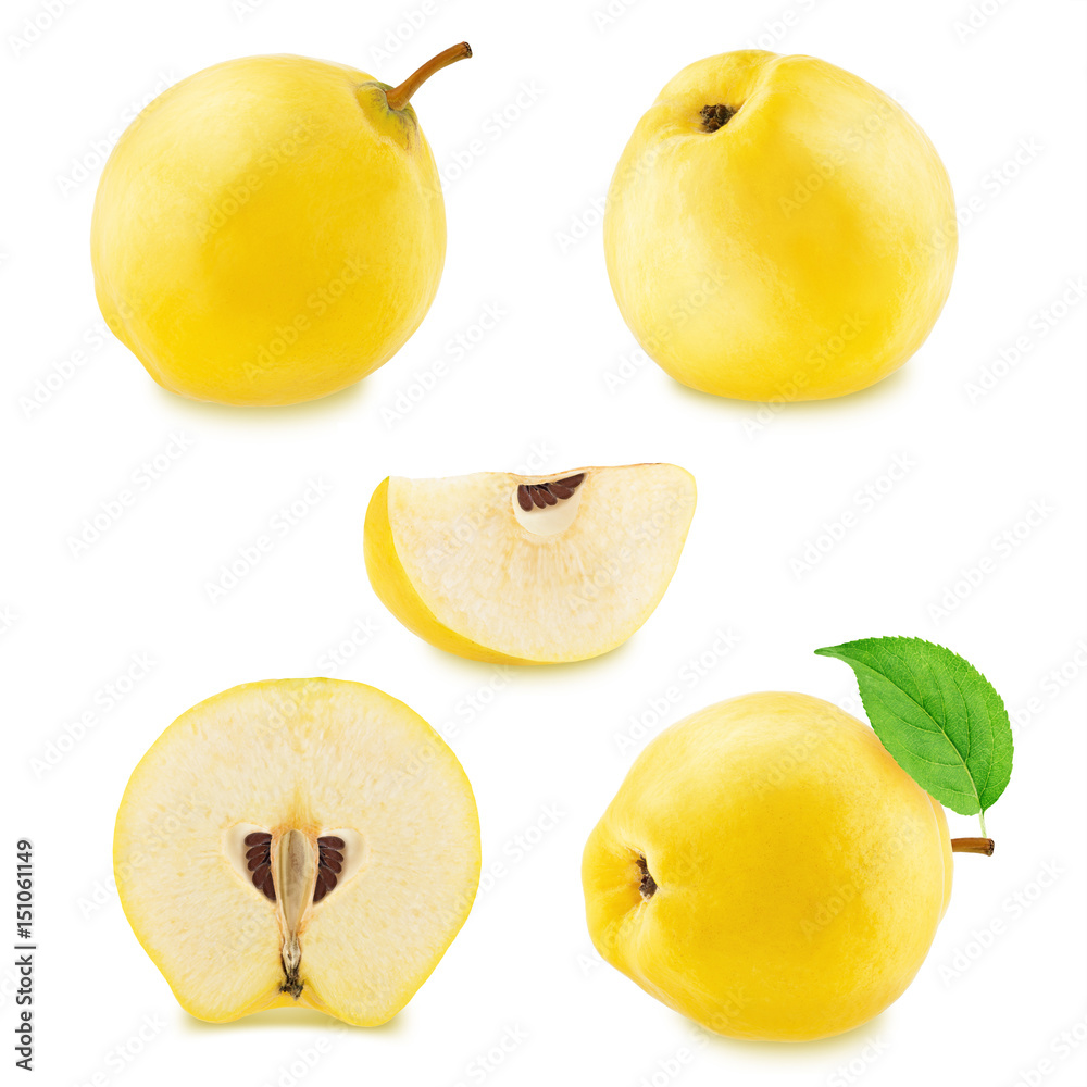 Set of different quinces isolated Set of different quinces isolated