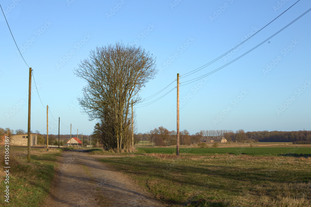 View over street and fields in rural Mecklenburg-Vorpommern