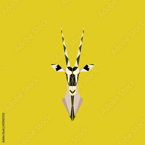 African Safari Oryx Gazella or Gemsbok Antelope head. 
