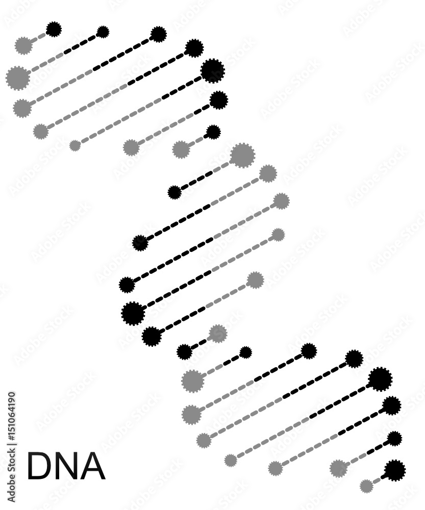 Molecular structure of DNA. DNA. Vector illustration. Stock Vector ...