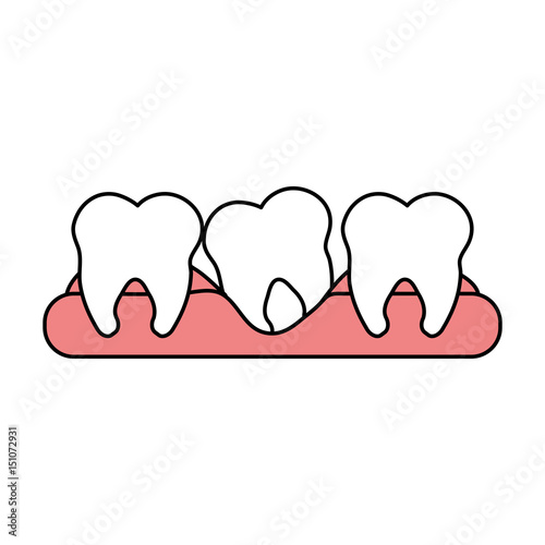 color silhouette cartoon set tooth in gum vector illustration