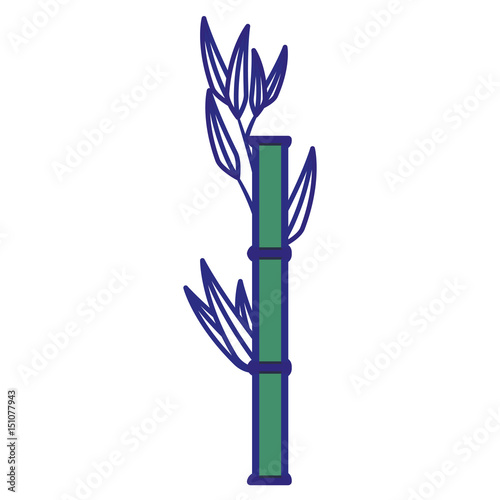 Bamboo japanese tree icon vector illustration graphic design
