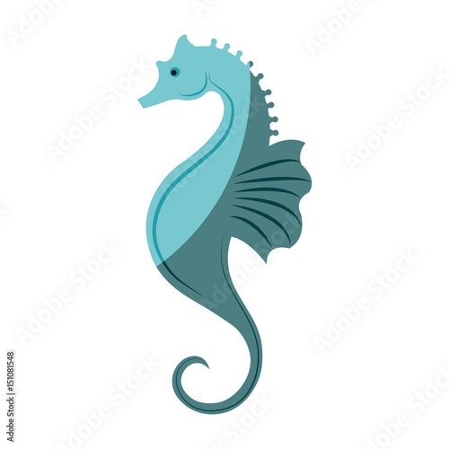 sea horse icon over white background. vector illustration
