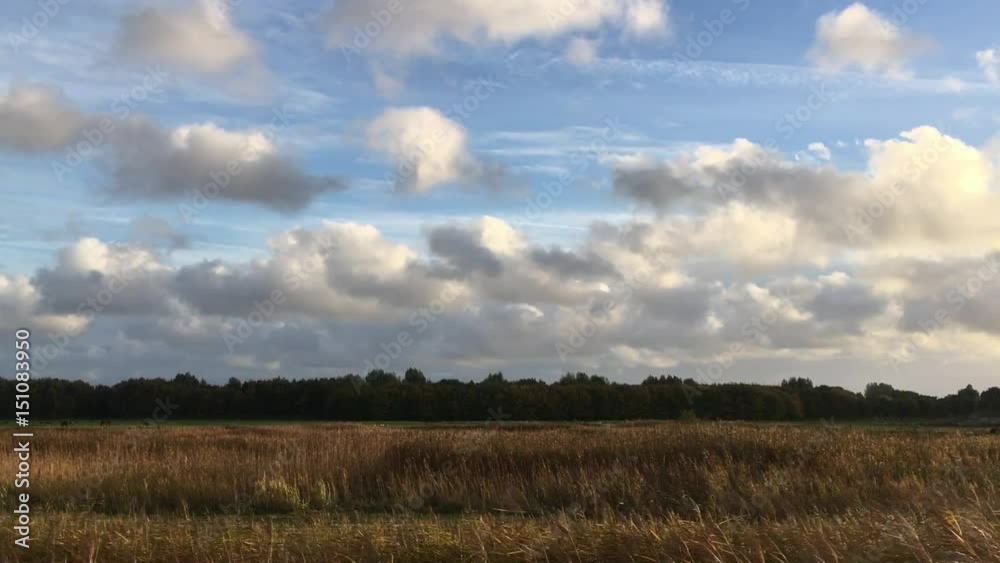 Sky and field in a windy weather