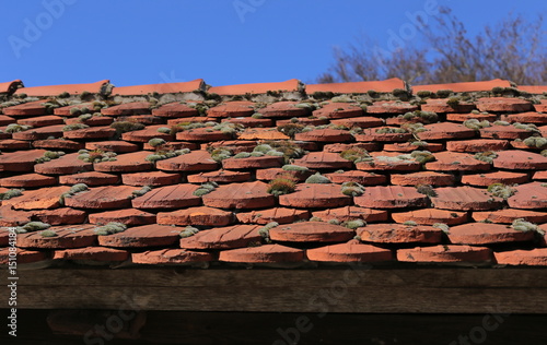 Rooftiles with moss in front of blue sky