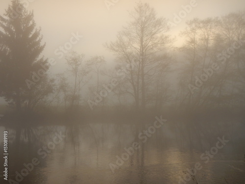 foggy morning with shining sun © luciezr