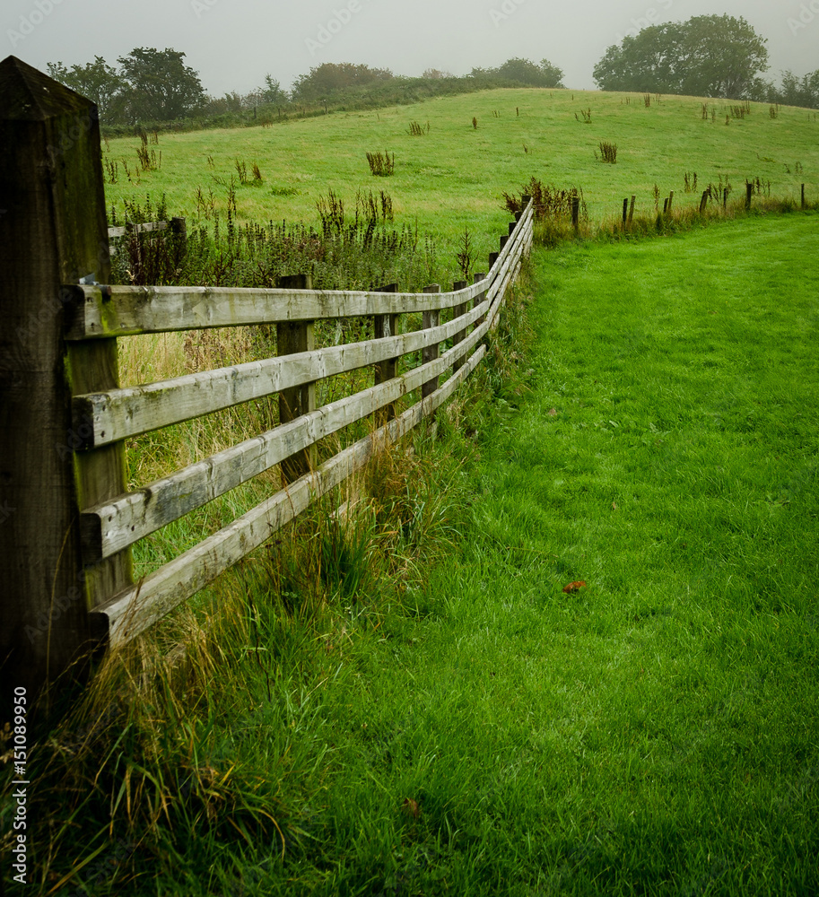 Pasture Fence Line in Ireland