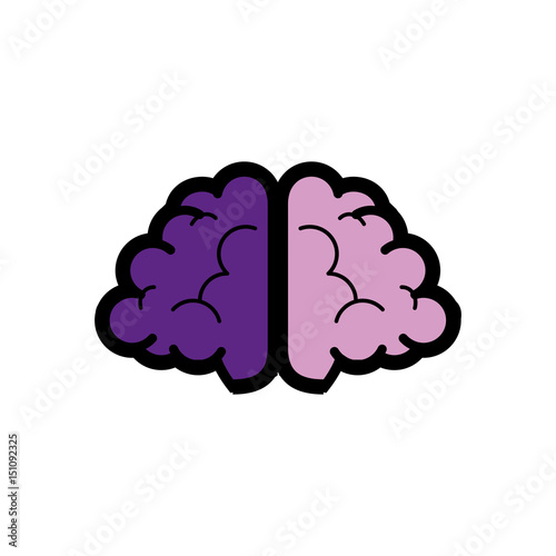 brain organ icon over white background . colorful desing. vector illustration