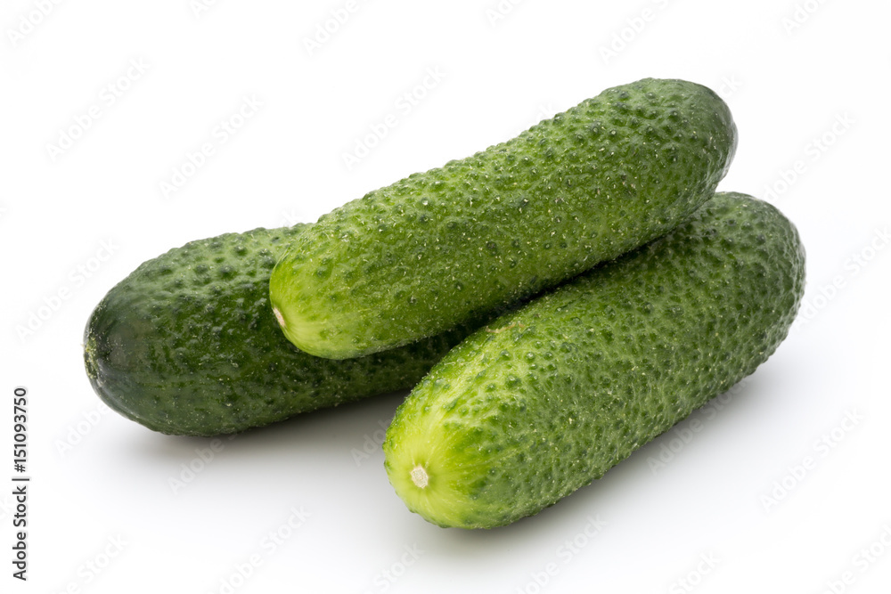 The first spring ecologically cucumbers. The first spring ecologically cucumbers.
