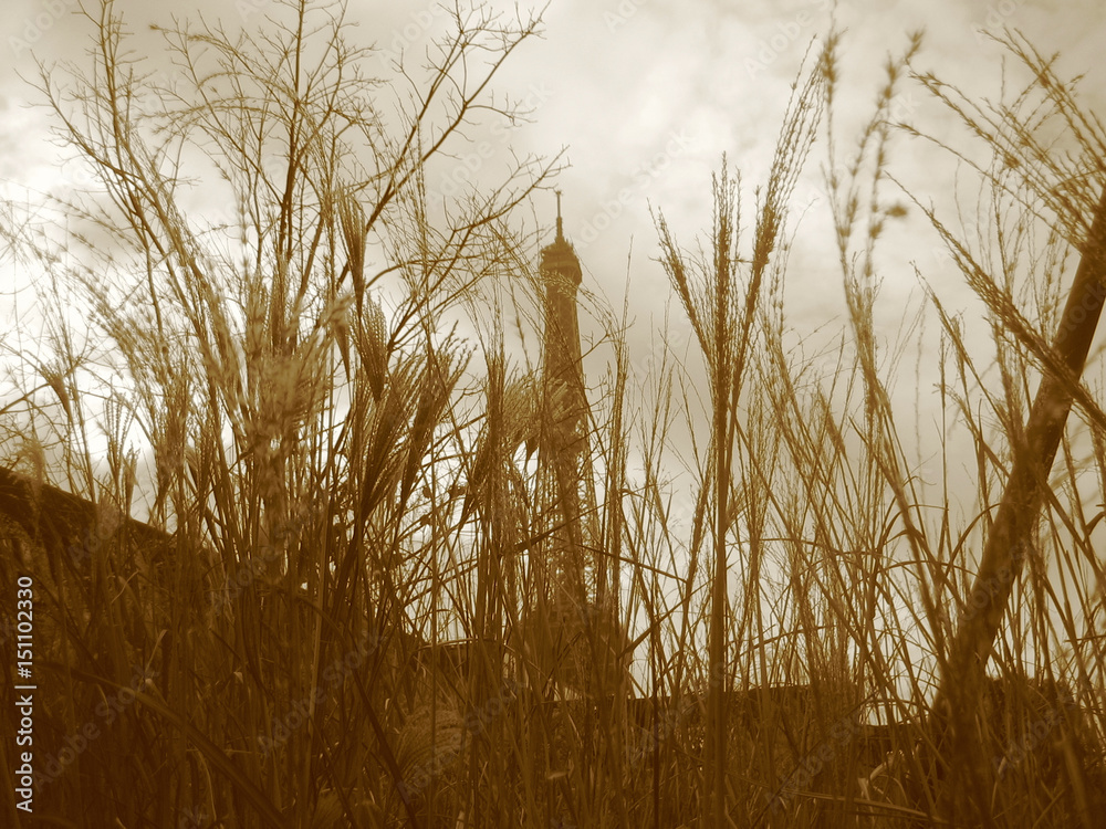 Fototapeta premium Eiffel Tower