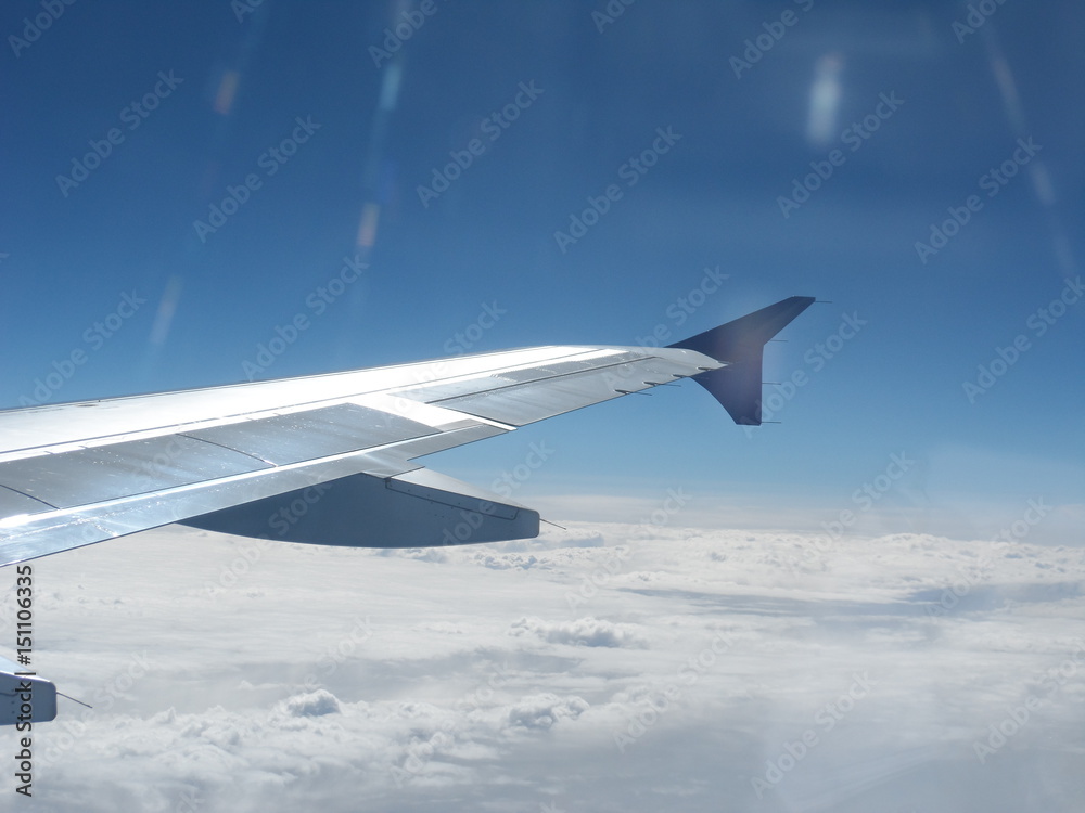 Wing Wing