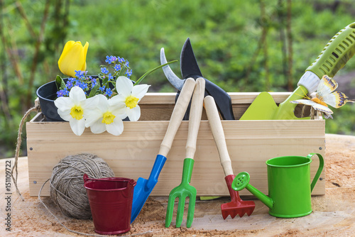 gardening concept/spring flowers and gardening equipment on wooden background outdoors