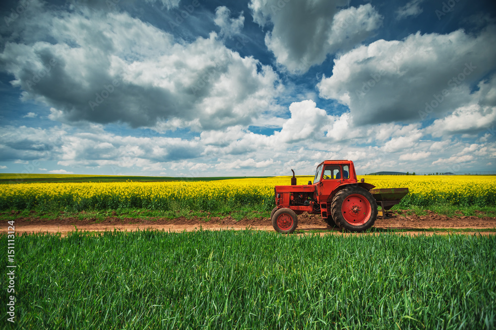 Naklejka premium Red tractor in a field