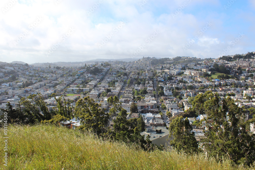 Obraz premium Rolling hills in San Francisco