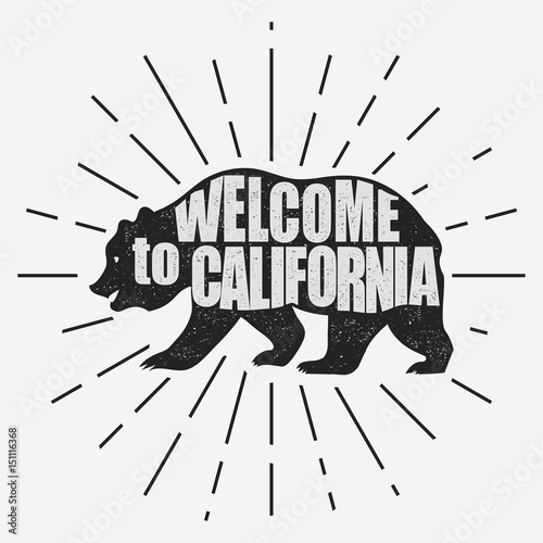 California typography print, grizzly Bear t-shirt. vector