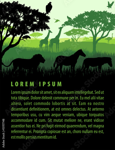 Vector illustration of african savannah safari landscape with wildlife animals silhouettes in sunset design template