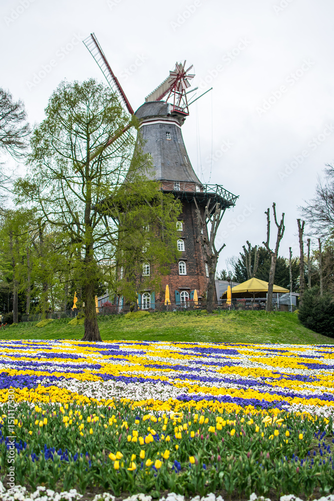 windmill with colorful flowers foreground