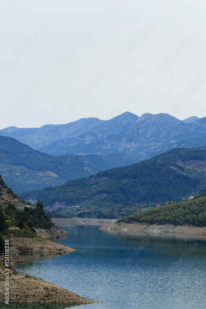 Mountains covered by pine forests descending to lake