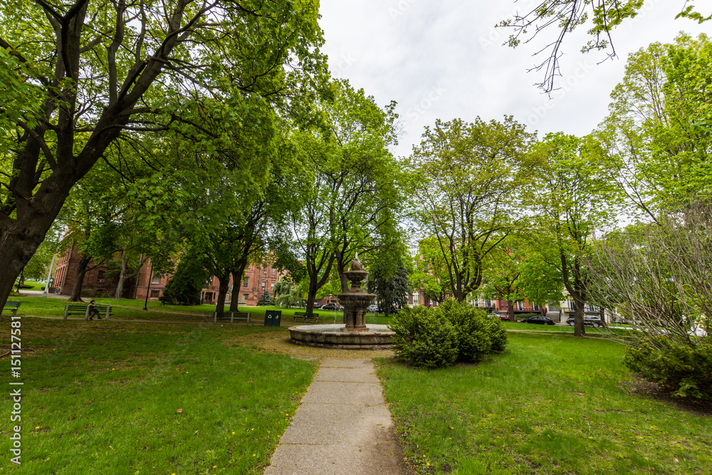 Obraz premium Academy Park in Albany, New York