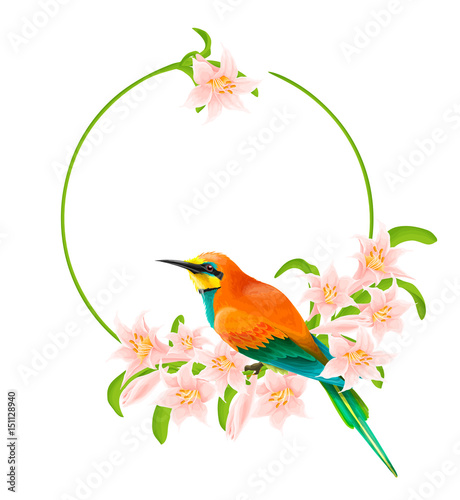 Floral circle frame with Bee-eater bird isolated on white background.
