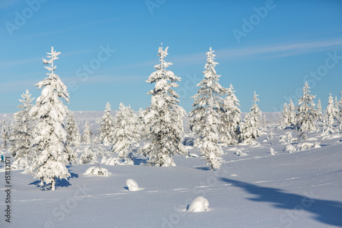 Winter landscape in Lapland, Finland. © victormro
