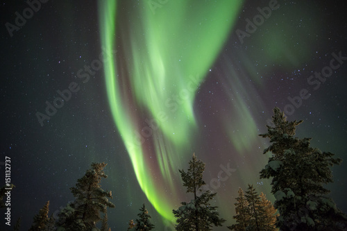Aurora borealis  northern lights  in Lapland  Finland.