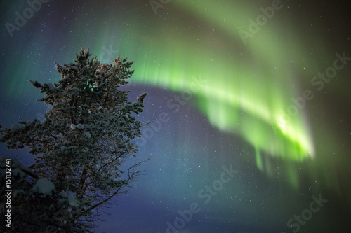 Aurora borealis  northern lights  in Lapland  Finland.