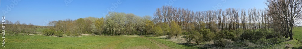 Panorama of Wuestung Spiegelsdorf in Mecklenburg-Vorpommern. The village was abandoned long ago in the 1920s