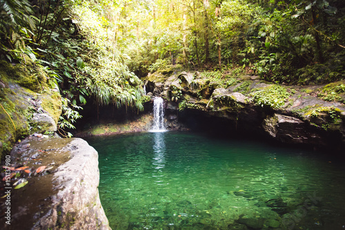 Piscine naturelle en forêt - Guadeloupe photo