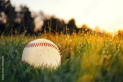 Baseball in the grass photo