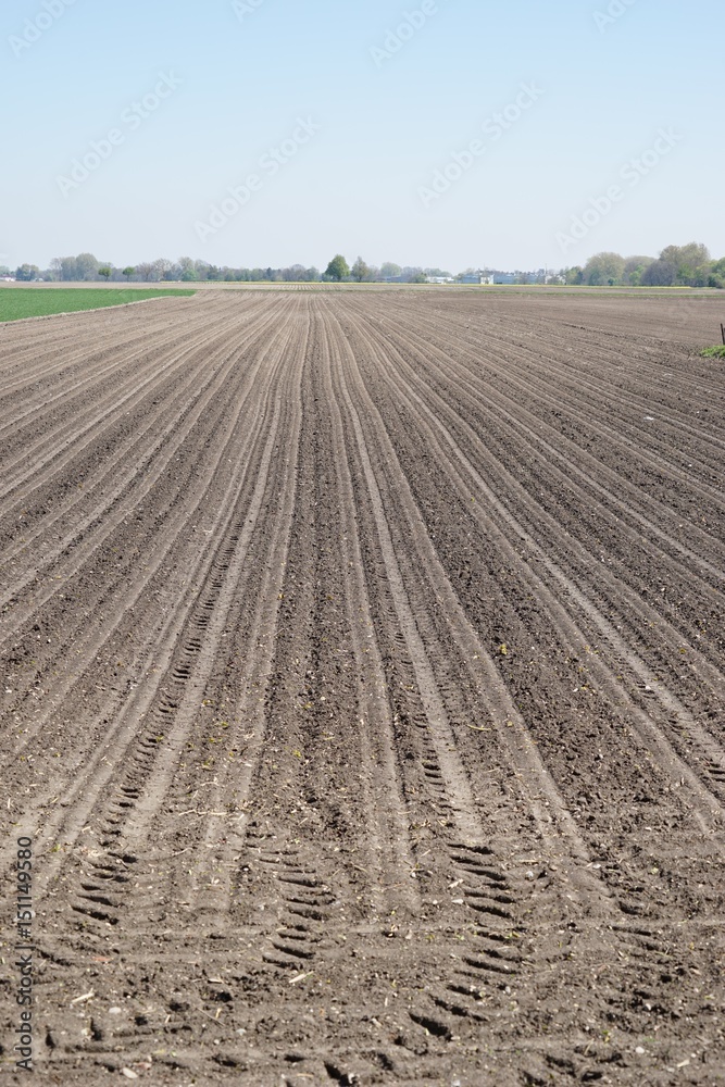 Spuren im bewirtschafteten Feld im Frühling Spuren im bewirtschafteten Feld im Frühling