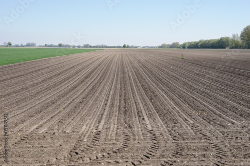 Spuren im bewirtschafteten Feld im Fr  hling